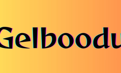 Gelboodu