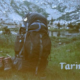Tarnplanen